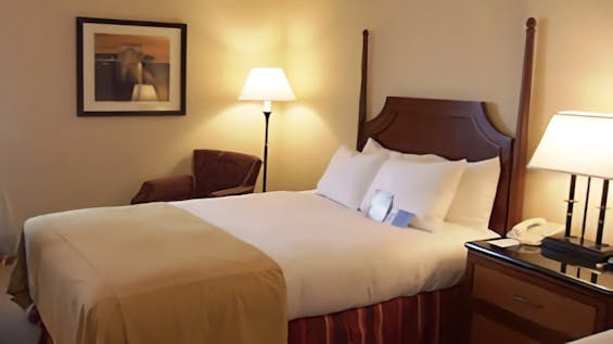 紫雲殿 徳川斎場