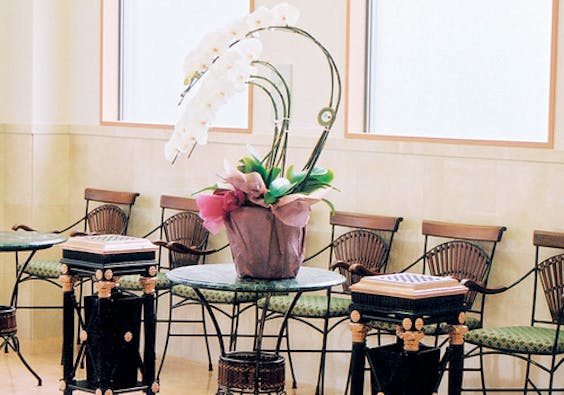 ドリーミーホール秋川