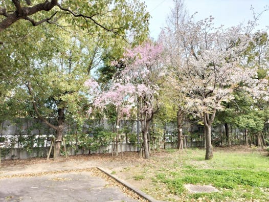 吹田市立やすらぎ苑