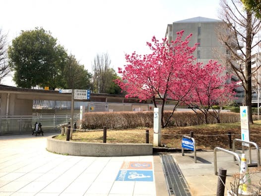 セレモニー目黒