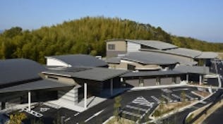 いつくしみの杜