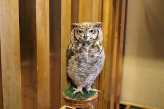 法事・法要・家族葬の桜庵