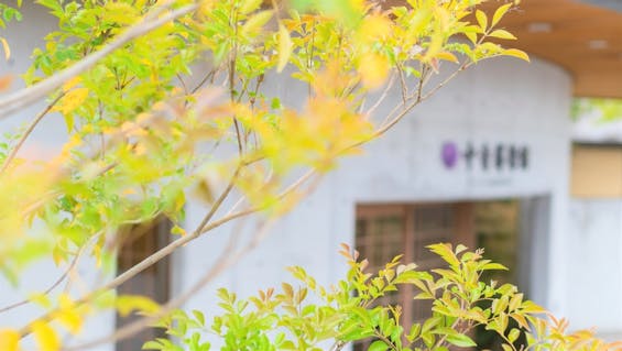 ドリーマー 今治中寺葬祭館