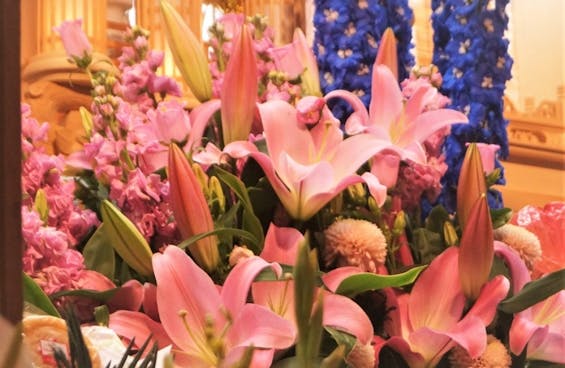 こすもすホール鷹巣