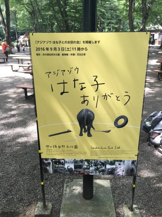 行ってきました】ゾウの「はな子」のお別れ会。東京・井の頭自然文化園