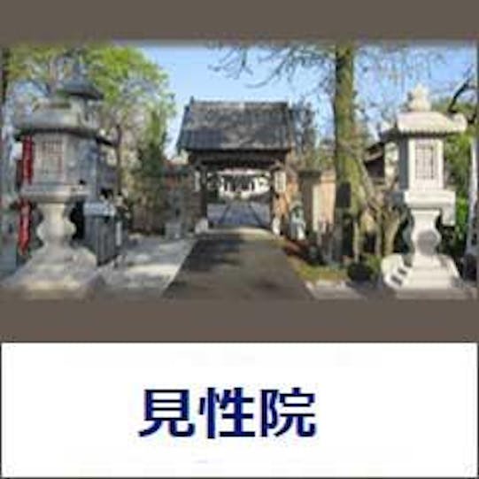 見性院 　葬祭部