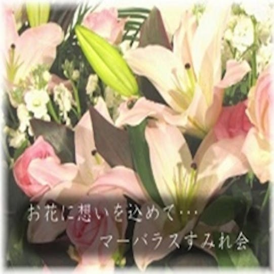 マーバラス　すみれ会