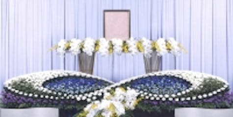 胡蝶蘭のお葬式