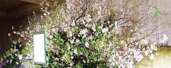 故人様に最もふさわしいご葬儀を