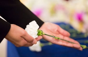 年間約8,000件の葬儀をお手伝いしています